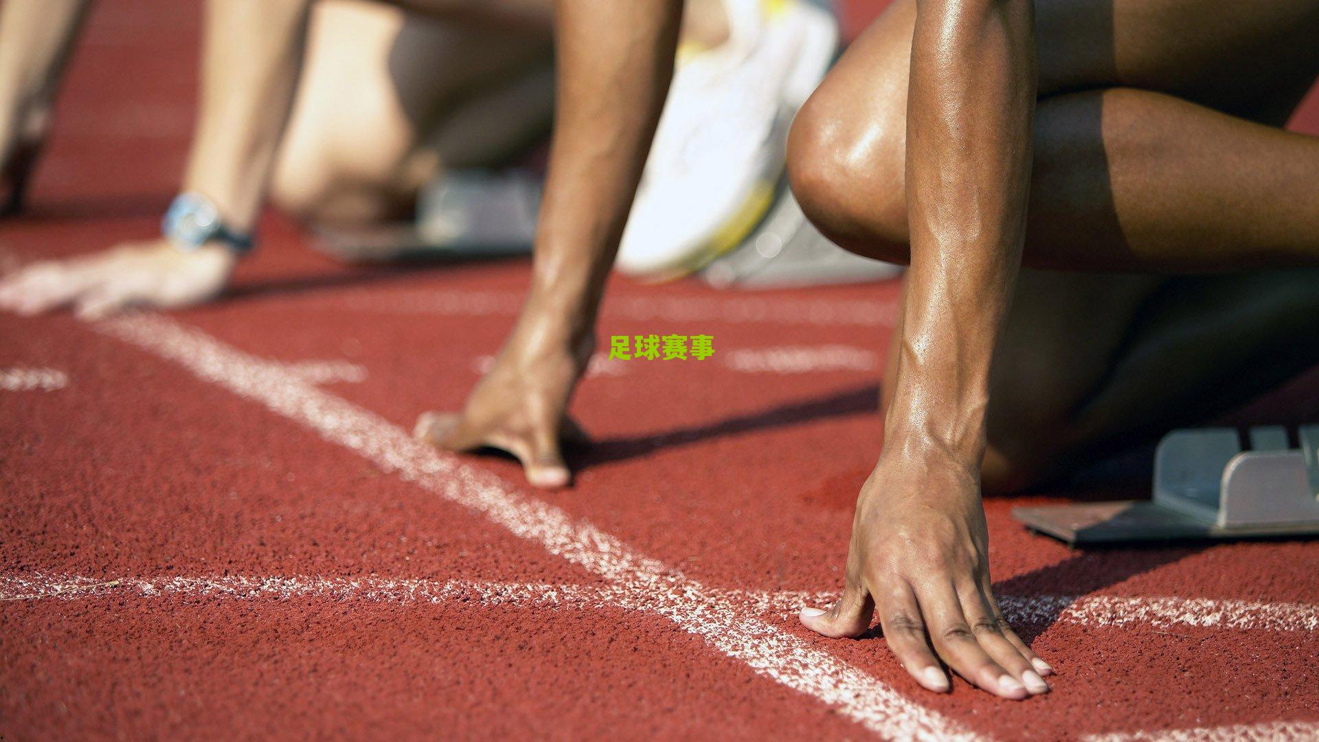 约基奇全能三双率队高歌猛进 掘金力克森林狼豪取七连胜